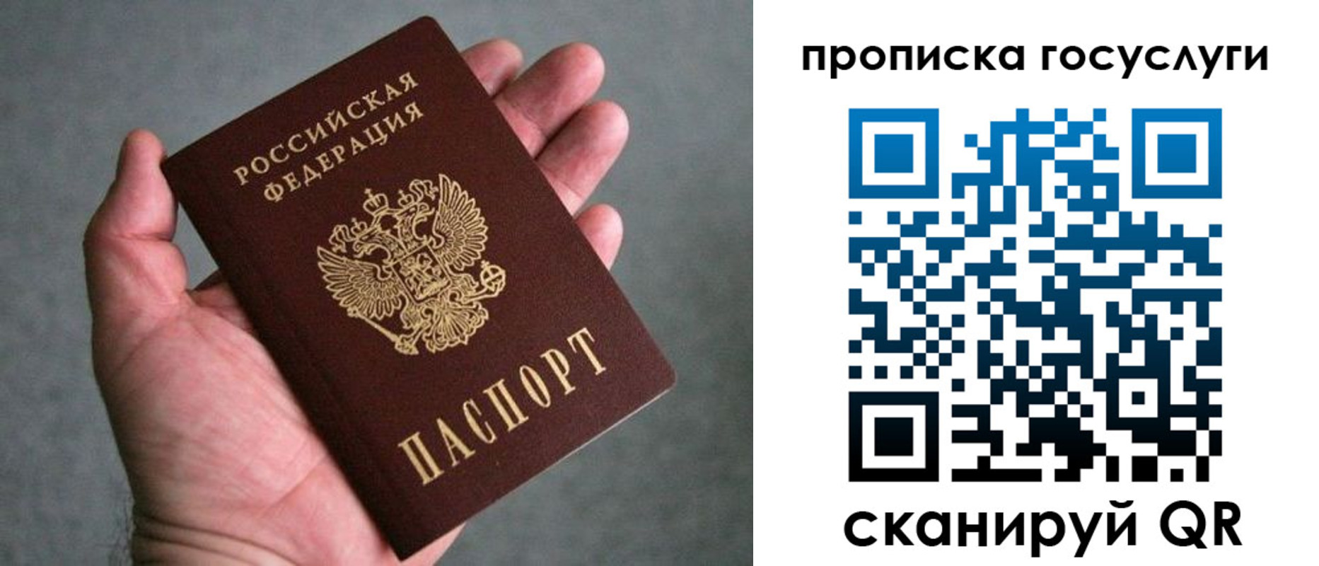 прописка 2025 в Ставрополе